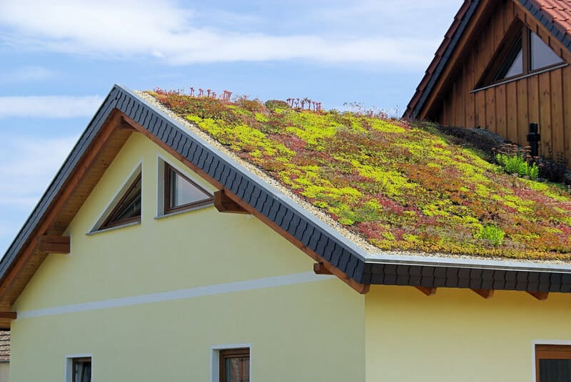 Top Brands for Eco-Friendly Roofing: Sustainable Solutions